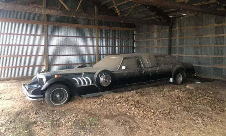 Abandoned 1975 Cadillac Eldorado Fleetwood Limousine found in a forgotten garage