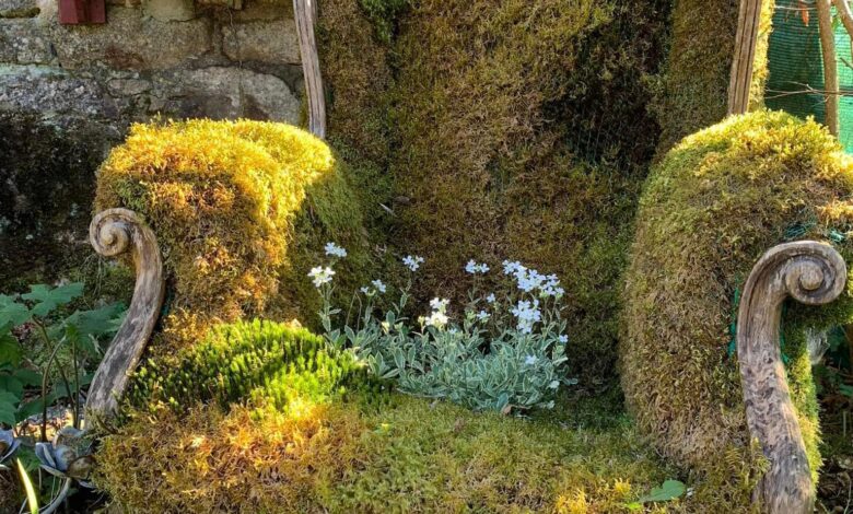 Ancient Furniture Swallowed by Moss in Lonely Gardens